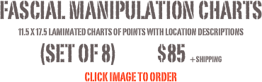 Fascial Manipulation Charts 
11.5 x 17.5 Laminated charts of Points with location descriptions
(set of 8)            $85 +SHIPPING
CLICK image to order